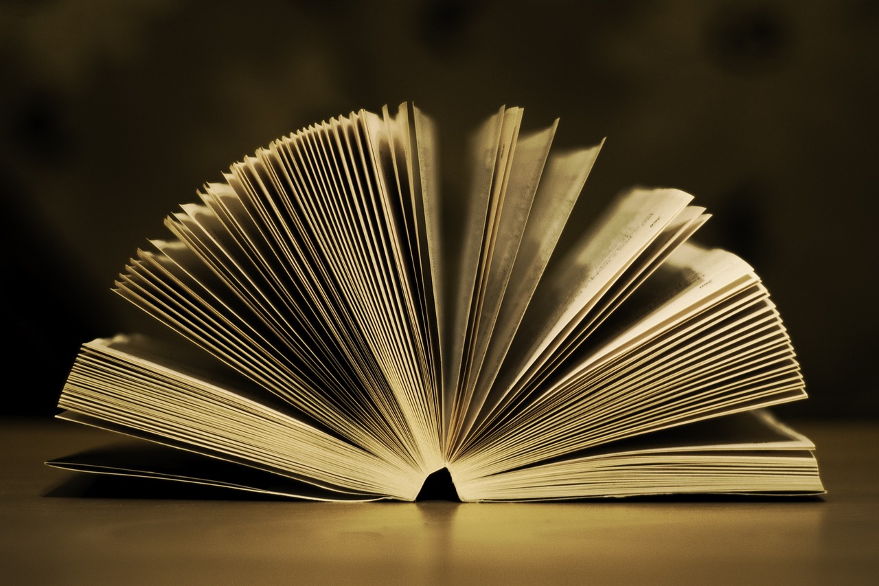 Jak motywować uczniów do czytania: Znaczenie edukacji literackiej i bibliotek szkolnych